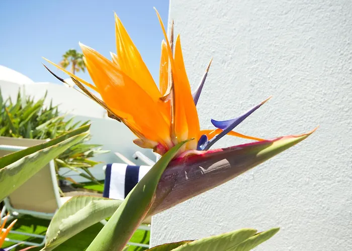 Villa El Golfo - By Az *